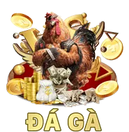 Người dùng 3