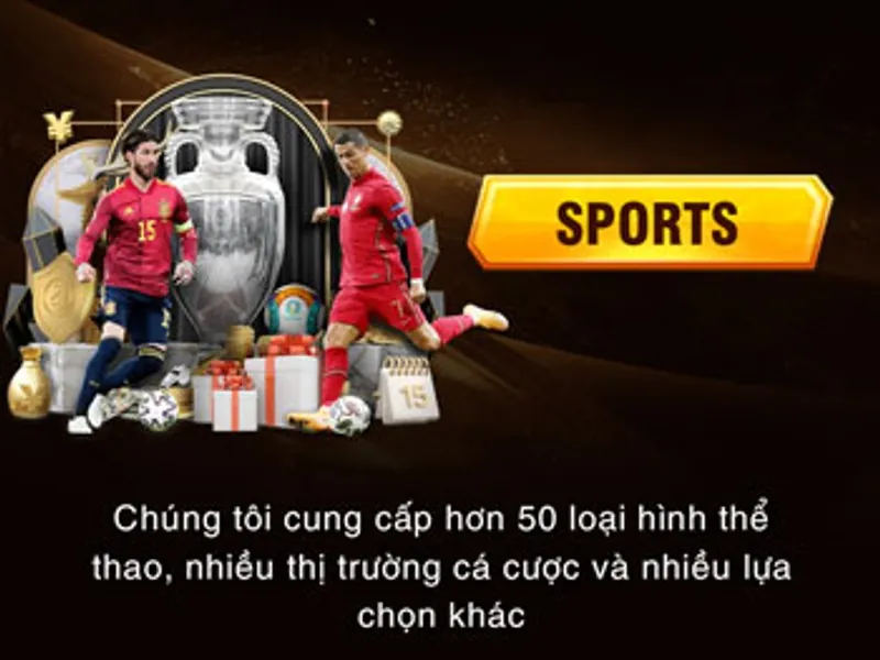 Cá Cược Thể Thao 13win